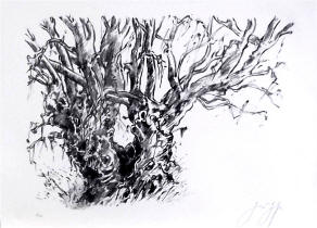 Das Feuerzeug: "Der Baum"